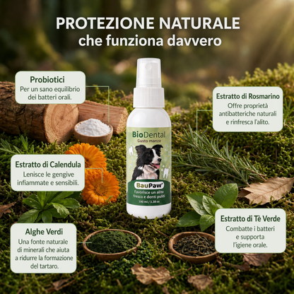 Spray Dentale BauPaw™ – Elimina i batteri che causano tartaro e alito cattivo nei cani
