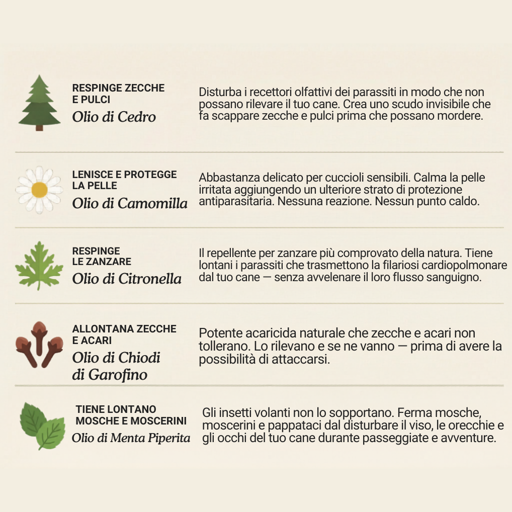 Ciondolo BauPaw™ - 12 mesi di protezione naturale per gatti