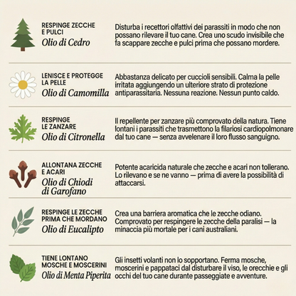 Ciondolo BauPaw™ - 12 mesi di protezione naturale per cani