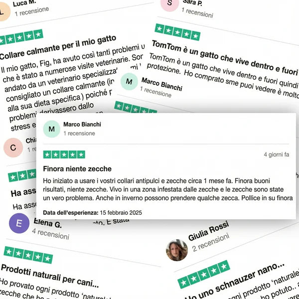 Ciondolo BauPaw™ - 12 mesi di protezione naturale per cani