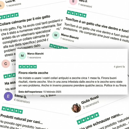 Ciondolo BauPaw™ - 12 mesi di protezione naturale per cani