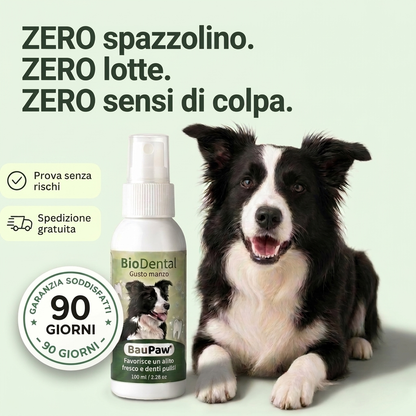 Spray Dentale BauPaw™ – Elimina i batteri che causano tartaro e alito cattivo nei cani